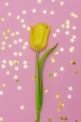 Similar image 21333353