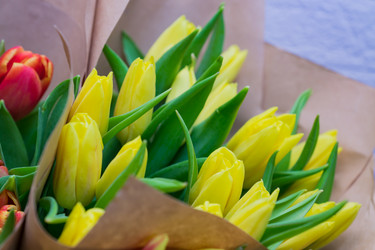 Similar image 21333356