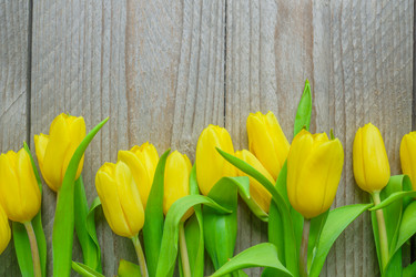 Similar image 21333358