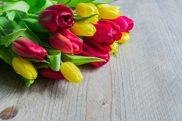 Similar image 21333361