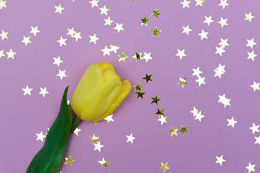 Similar image 21333365