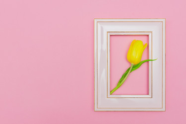 Similar image 21333366