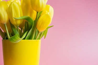 Similar image 21333367