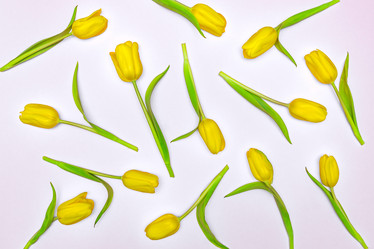 Similar image 21333376