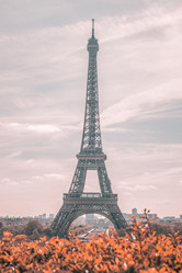 Similar image 21325392