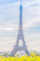 Similar image 21325394