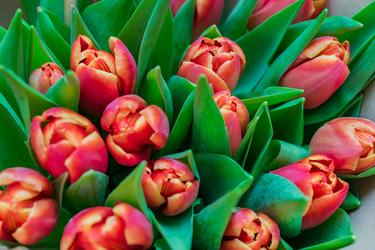 Similar image 21332967