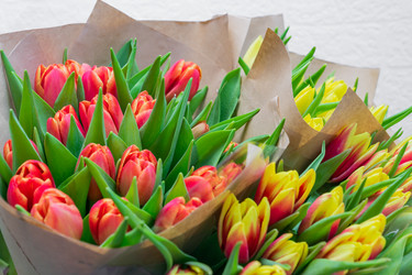 Similar image 21332970