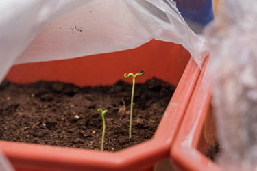 Similar image 21332975