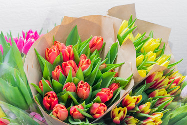 Similar image 21332980