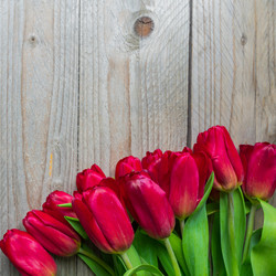 Similar image 21332984