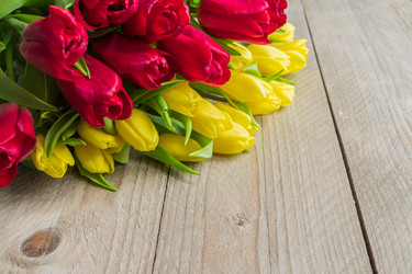 Similar image 21332995