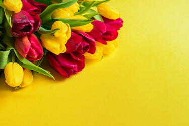 Similar image 21332996