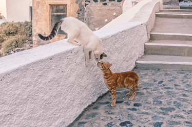 Similar image 21325450