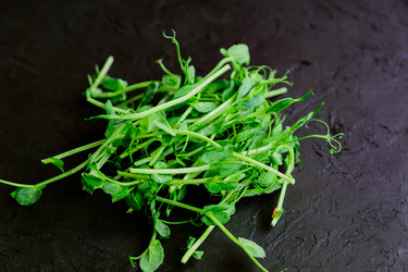 Similar image 21333394