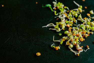 Similar image 21333396