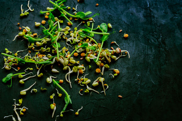 Similar image 21333397