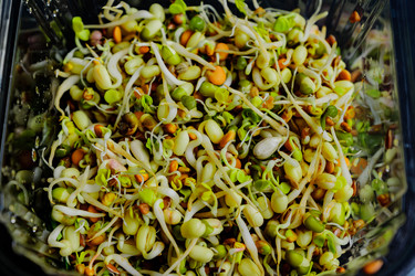 Similar image 21333398