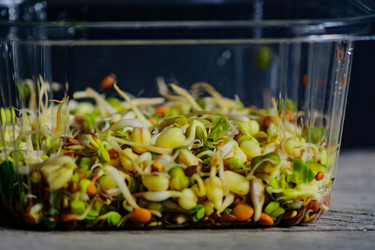 Similar image 21333400