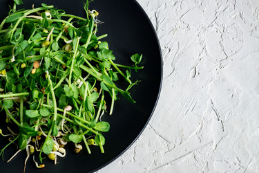 Similar image 21333403