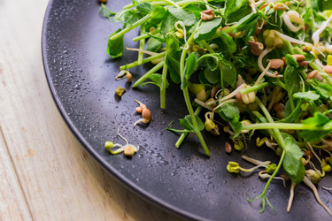 Similar image 21333406