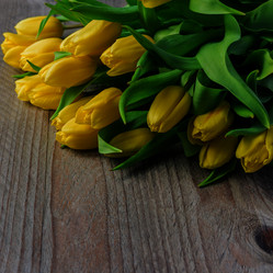 Similar image 21333408