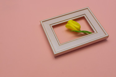 Similar image 21333411