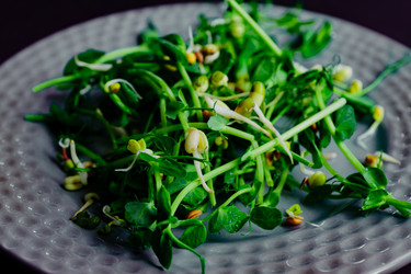 Similar image 21333414