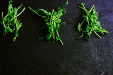 Similar image 21333416