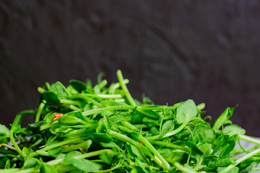 Similar image 21333417