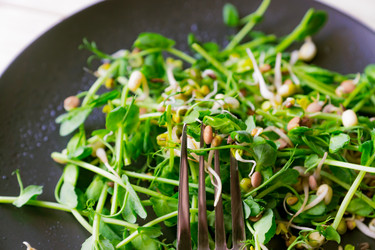 Similar image 21333419