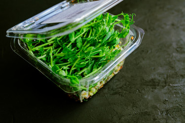 Similar image 21332714