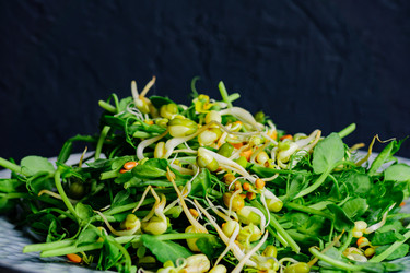 Similar image 21332999