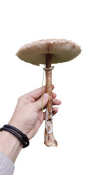 Similar image 21316283