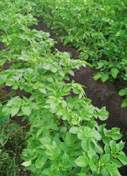 Similar image 21336140