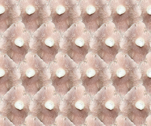 Similar image 21316308