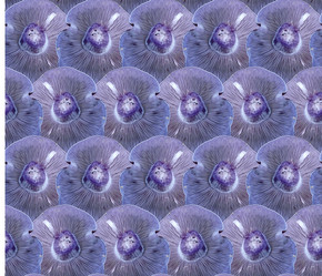 Similar image 21316309