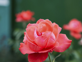 Similar image 21317212