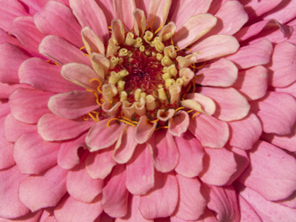 Similar image 21317214