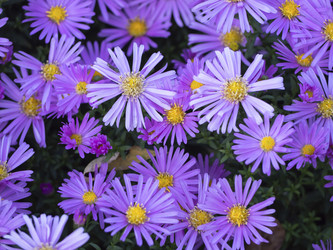 Similar image 21317215