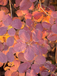 Similar image 21317217