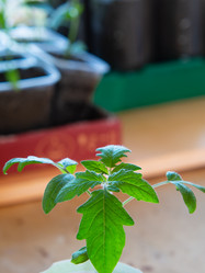 Similar image 21317223