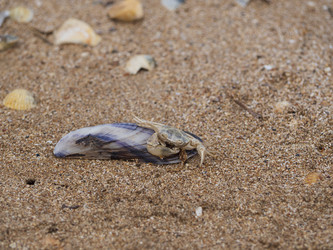 Similar image 21317232