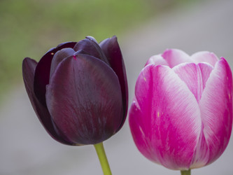 Similar image 21317237