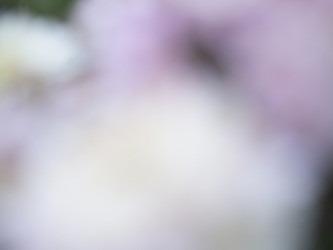 Similar image 21317240