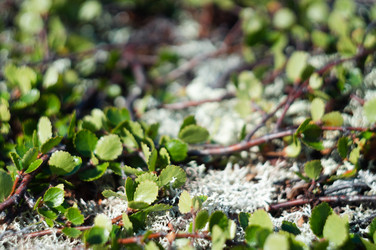 Similar image 21320004