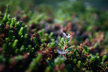 Similar image 21320009