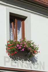 Similar image 21321517