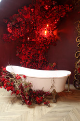 Similar image 21316669