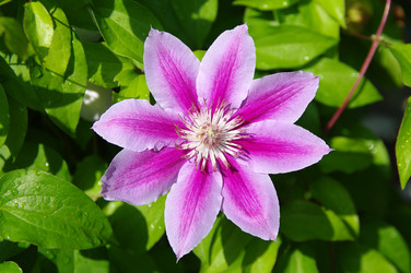 Similar image 21317156